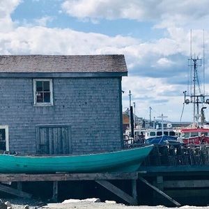 Meet your Posher, Samuel